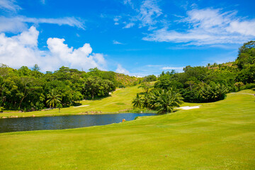 Obraz premium Exotic tropical nature in the Seychelles, tropical pond or river surrounded by the jungle. Beautiful nature tropical landscape.