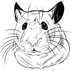 Hamster