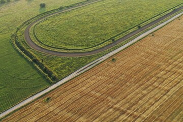 Abstract image. Aerial view of cereal crops in agricultural field with rows of wheat, rye, oat or barley. Harvest. Green grass. Minimalism natural photography. Golden and green squares.