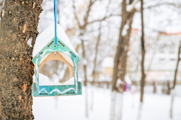 bird feeder on a tree in a winter park. Feeding birds in winter.