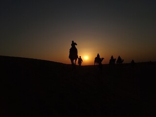 Fototapeta na wymiar sunset in the desert with camel