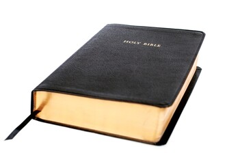 Holly Bible Isolated on White