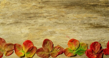 Autumn leaves at the bottom on a wooden background
