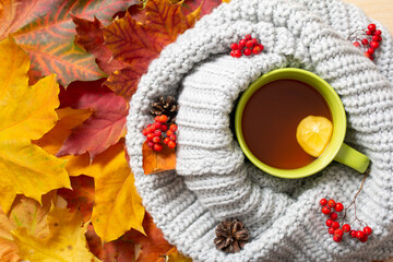 cup of tea with autumn leaves, Autumn mood. A cup of tea, knitted scarf, rowan, autumn leaves. Flat lay, top view.