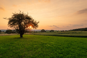 Fototapeta na wymiar Country landscape in sunshine, Germany