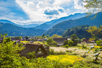 Fototapeta premium 岐阜県白川郷 秋の風景