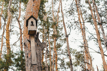 bird house on tree
