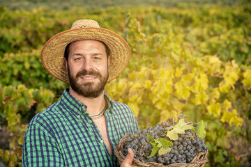 bearded farmer in vineyard