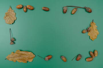 A photo or postcard frame made of dried oak leaves and acorns on a green background.