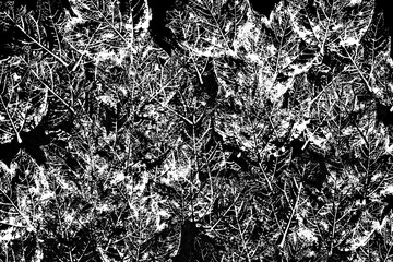 Black background with leaf prints. Abstract raster wallpaper.