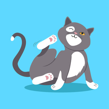 Vector illustration with the image of a gray cat. A domestic pet, a kitten scratches its ear and neck with its hind paw. Cute kitty on blue background in flat style