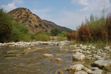 Light Stream in the Azusa Canyons