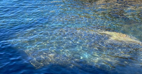 Blue clear sea water background. Ocean ripples turquoise water. Transparent deep sea. Beautiful shoreline.