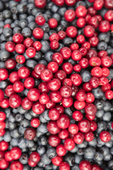 Wild berries - cranberries, lingonberries, blueberries. Close-up.