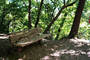 Naklejka premium 木漏れ日のあたる森の中のベンチ