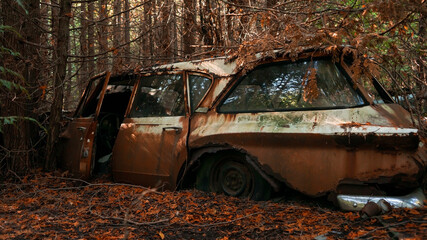 Wagon Rust