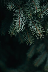 Beautiful autumn park on a sunny day.