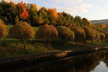 Beautiful autumn landscape of trees with bright colorful leaves near the city river