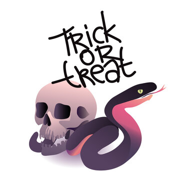 An illustration for Halloween. An image of a skull and a snake