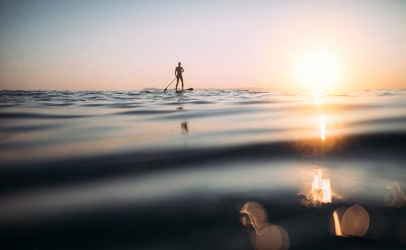 Low angle view of man paddling SUP board
