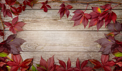 Obraz premium Autumn background of red leaves on a wooden background