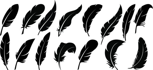 Big set of bird feathers design. fluffy swan. soft bird plumage set. Pen icons design. set of bird feathers design