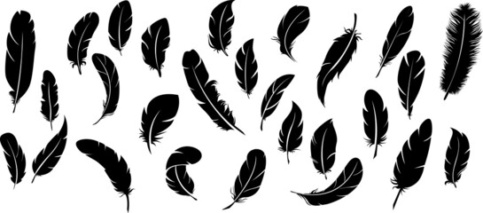 Big set of bird feathers design. fluffy swan. soft bird plumage set. Pen icons design. set of bird feathers design - obrazy, fototapety, plakaty