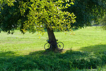 bicycle in the park in Lugo, Galicia, Spain