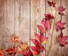 Beautiful braided branch with red leaves lies on a wooden background