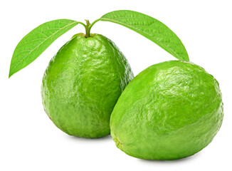 guava with green leaves isolated on white background. clipping path