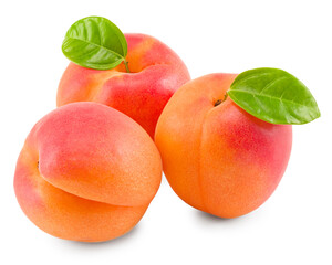 apricot fruit with green leaf isolated on white background. clipping path