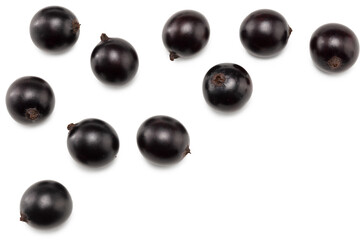 black currant isolated on white background. macro. clipping path. top view