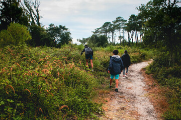 Obraz premium Adolescents et enfant qui randonnent sur un chemin sableux des Landes près du courant d'Huchet