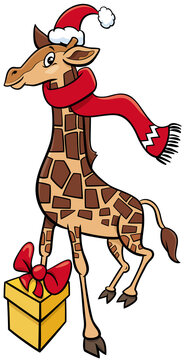 cartoon giraffe animal character with gift on Christmas time
