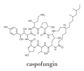 Caspofungin antifungal drug molecule. Skeletal formula.