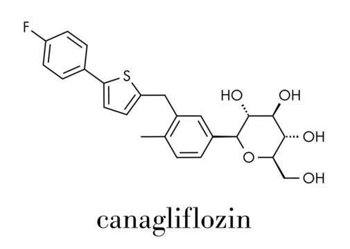 Canagliflozin diabetes drug molecule. SGLT2 inhibitor used in treatment of type II diabetes. Skeletal formula.
