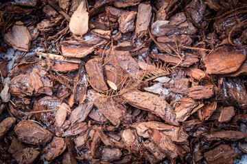A close up picture of mixed mulch of wood barks, leaves and small tree branches in warm brown...