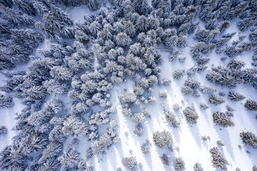 Aerial Winter Mountain landscape with coniferous forest covered with snow