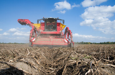 potato harvester machine