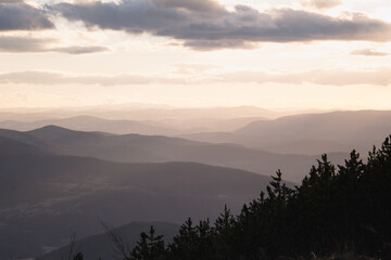 Kopaonik mountain range in Serbia. Aerial view on Kopainik National Park. Sunset under mountains, hills and meadows. Spruce trees in the sun