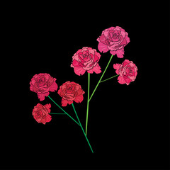 Bright pink flowers. Vector illustration.