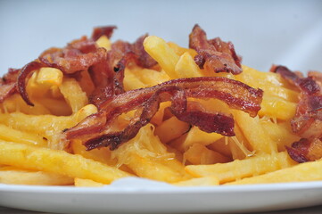 delicious French fries with melted cheddar cheese and bacon