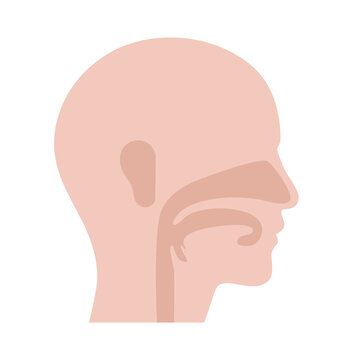 recommend clip art: Otolaryngology clinic concept