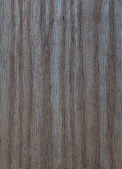 Naklejka premium Oak wood grain