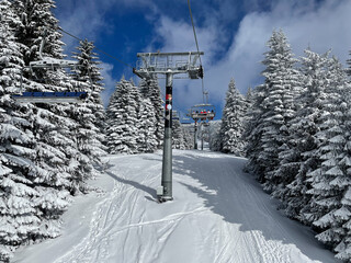 Panorama of the ski resort Kopaonik in Serbia. Kopaonik National Park, winter landscape in the mountains, coniferous forest covered with snow