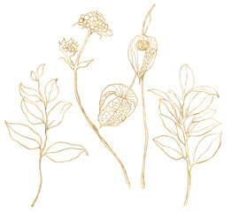 Watercolor autumn set of gold physalis, berries and leaves. Hand painted linear flowers and plant isolated on white background. Floral illustration for design, print, fabric or background.