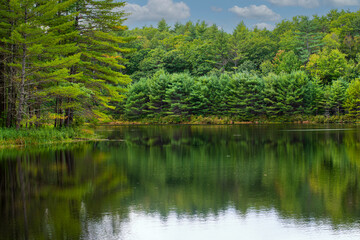 pearl hill brook pond on a late september day