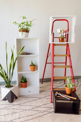 Ideas for a decorative white room with a red metallic stair next to a white small library with a few green and fresh succulents. Shot taken under natural lighting in a white and shiny apartment.