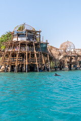 Dolphin Reef beach, scuba diving and dolphins in Eilat Israel
