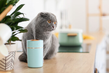Fototapeta na wymiar Cute cat in room with modern humidifier